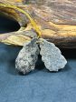 Natural Black Fossil Coral Gemstone Earrings, 34x18mm Freeform Shape Online now