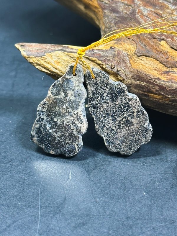 Natural Black Fossil Coral Gemstone Earrings, 34x18mm Freeform Shape Online now