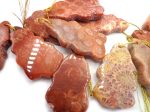 NATURAL Gemstone Fossil Coral Agate Pendant, 34x18mm Red, Free Form shape, Great for JEWELRY making! Not Treated in anyway! AAA Quality! For Sale