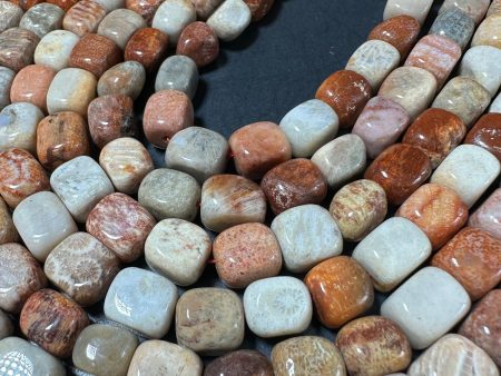 AAA Natural Fossilized Coral Agate Gemstone Beads 11x9mm Cube Shape, Brown Gray Beads, Great Quality Beads, Full length 15.5 inches Online Hot Sale