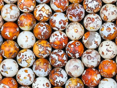 NATURAL Tibetan Gemstone Bead 12mm Round Beads, Beautiful Beige Orange Brown Color Tibetan Gemstone Beads, Excellent Quality Beads 15.5  Online Hot Sale