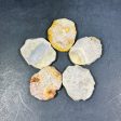 NATURAL Fossil Coral Gemstone Bead, 55x47mm Freeform Shape Bead Beautiful Natural Beige Yellow Gray Color Fossil Coral Beads, LOOSE Beads Online Sale