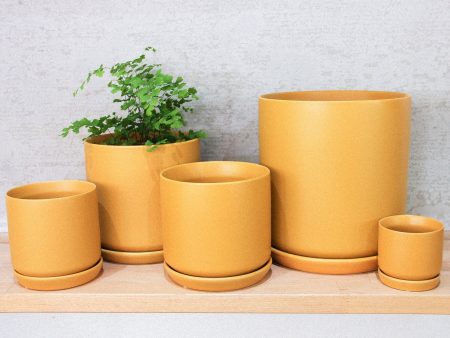 Cylinder Pot w s - Matt Sunset on Sale