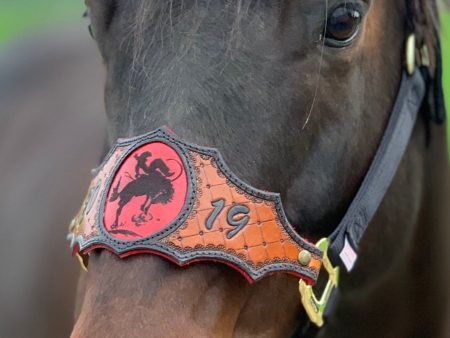 Custom Leather Bronc Halter For Sale