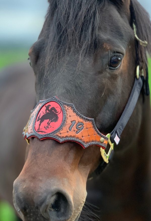 Custom Leather Bronc Halter For Sale