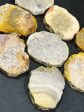 NATURAL Fossil Coral Gemstone Bead, 55x47mm Freeform Shape Bead Beautiful Natural Beige Yellow Gray Color Fossil Coral Beads, LOOSE Beads Online Sale