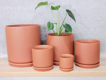 Cylinder Pot w s - Terracotta For Discount