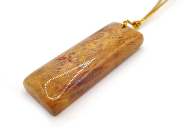 NATURAL Fossilized Coral, Rectangular and Teardrop Pendants, Great for JEWELRY making! Not treated in anyway! Fashion