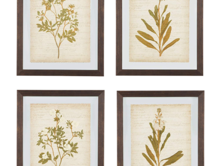 Ashley Furniture Signature Design 23  Dyani Botanical Framed Wall Art - Set of 4 Discount