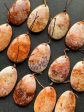 AAA Natural Fossil Coral Gemstone Pendant 30x50mm Teardrop Shape Pendant, Gorgeous Natural Orange Brown Fossil Coral Pendant For Sale