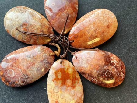 AAA Natural Fossil Coral Gemstone Pendant 30x50mm Teardrop Shape Pendant, Gorgeous Natural Orange Brown Fossil Coral Pendant For Sale