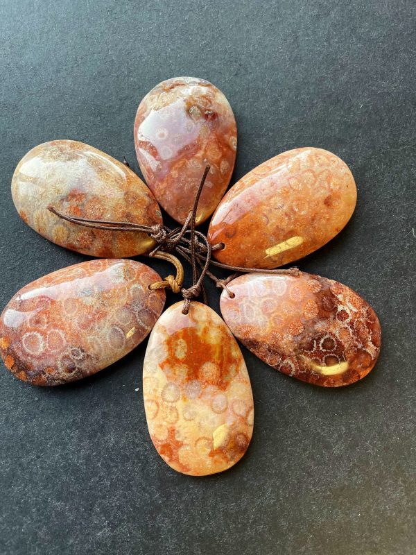 AAA Natural Fossil Coral Gemstone Pendant 30x50mm Teardrop Shape Pendant, Gorgeous Natural Orange Brown Fossil Coral Pendant For Sale