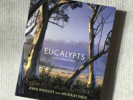 Eucalyptus A Celebration Online now