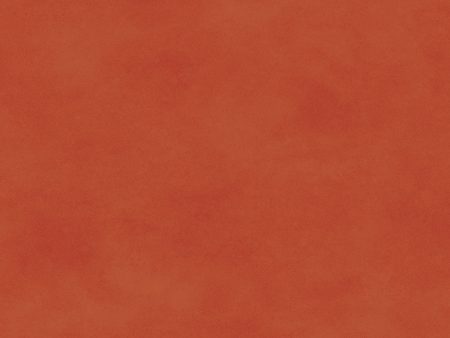 Shadow Play Cotton Fabric Orange Red MAS513-O6 by Maywood Studio Discount