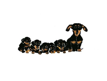 Dachshunds Online