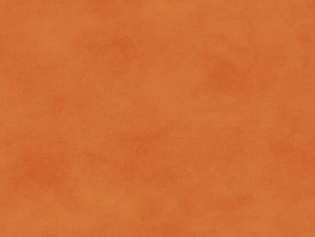 Shadow Play Cotton Fabric Tangerine MAS513-O8 Orange by Maywood Studio For Sale