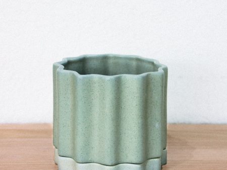 Ella Reweti Planter - Bluegum Sale