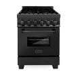 ZLINE 24  Black Stainless Steel 6.0 cu.ft. 7 Gas Burner Electric Oven Range For Cheap