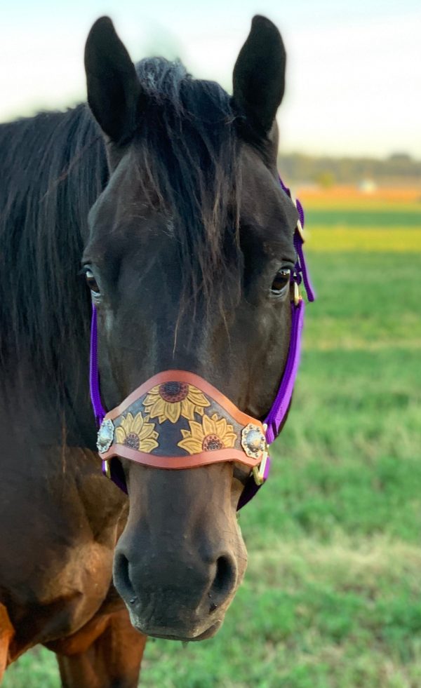 Custom Leather Bronc Halter For Sale