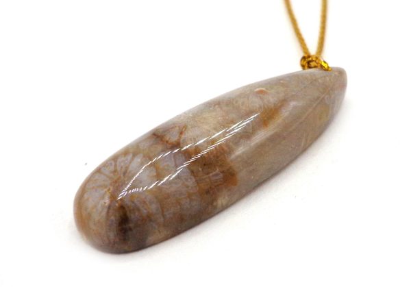 NATURAL Fossilized Coral, Rectangular and Teardrop Pendants, Great for JEWELRY making! Not treated in anyway! Fashion