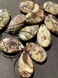 Natural Ocean Jasper Gemstone Pendant 30x50mm Teardrop Shape Online Hot Sale