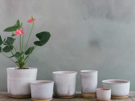 Leaf & Thread Stoneware Planter - Misty Morning on Sale