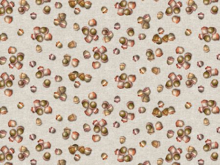 Acorns Cotton Fabric Light Taupe CLTY4225-61 The Secret Life of Squirrels II by Nancy Rose for Clothworks on Sale