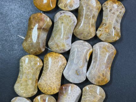 Natural Fossil Coral Gemstone Bead 45x25mm Hourglass Shape, Beautiful Natural Beige Orange Color Fossil Coral Beads, Full Strand 15.5  Sale