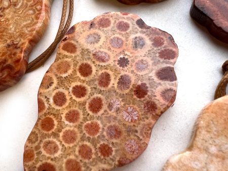 Natural Gemstone Fossil Coral Free Form Shape Pendant 41x59mm Beautiful Burnt Orange Color Loose Bead Loose Pendant Great Quality Gemstone!! Cheap